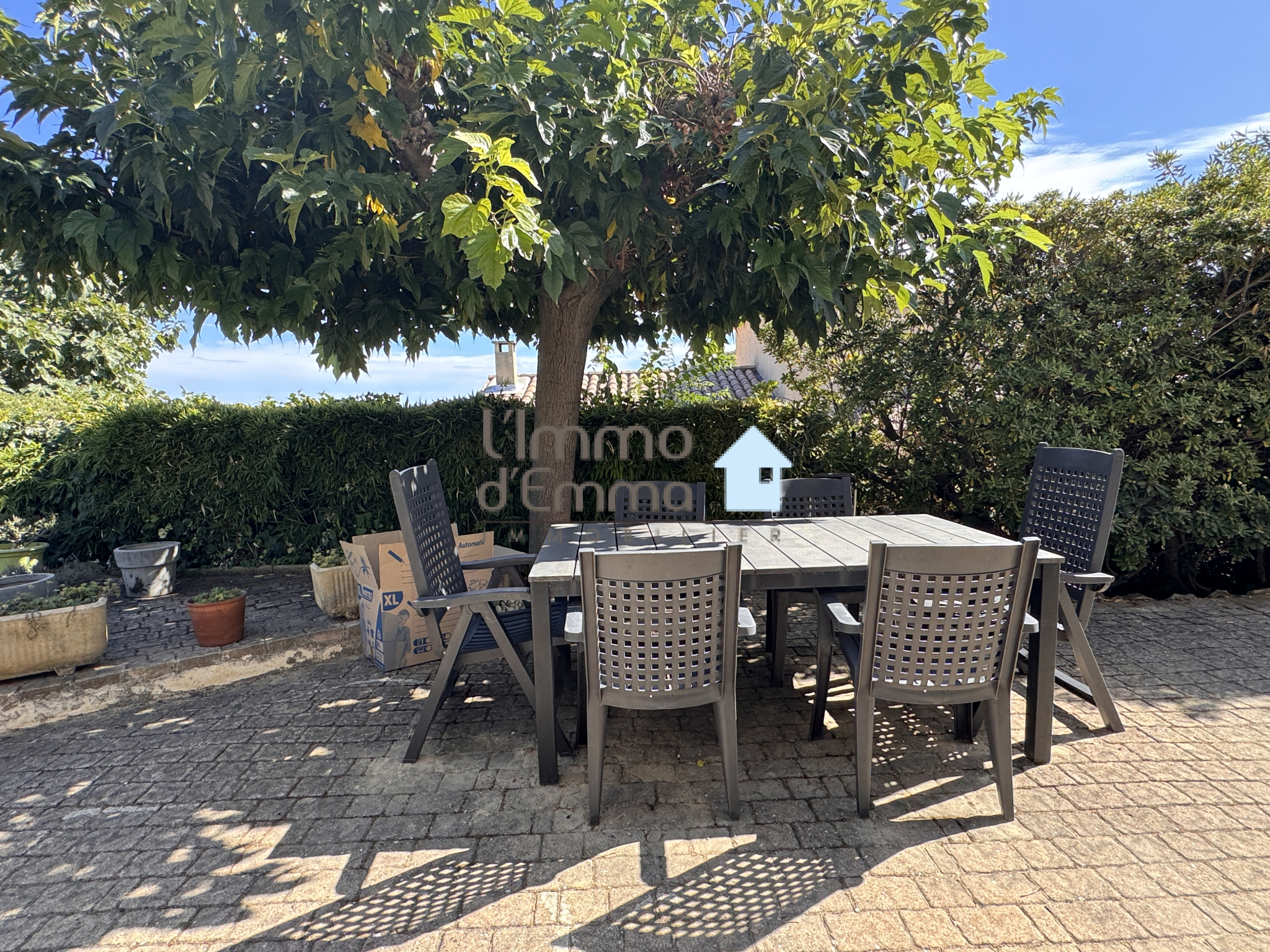 terrasse arborée logement 2 en RDC